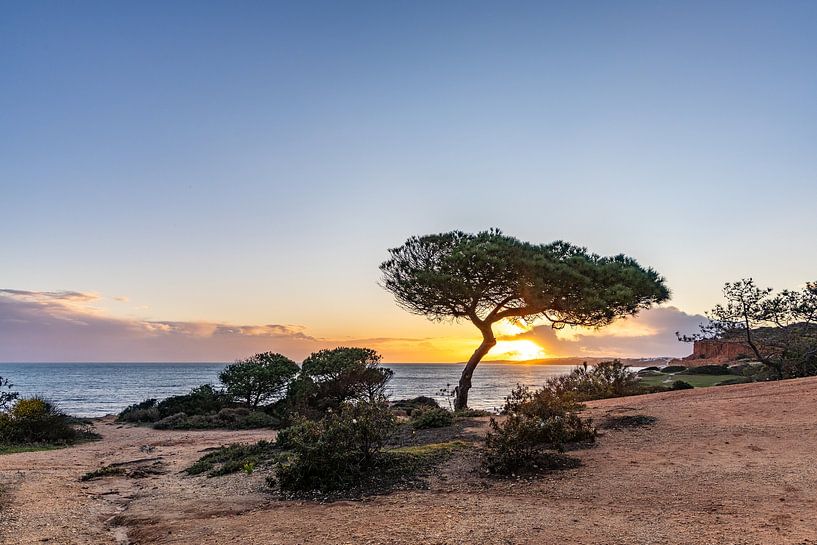 Coucher de soleil sur la plage de sable Praia da Falésia. Falaises, un arbre près d'Albufeira, Portugal par Fotos by Jan Wehnert