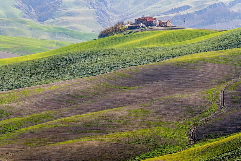 Landwirtschaft in der Toskana von Guy Lambrechts Fotografie