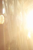 Interior la Sagrada Familia