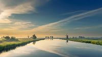 Polder-Panoramablick am Morgen