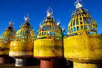 faszinierend Terschelling