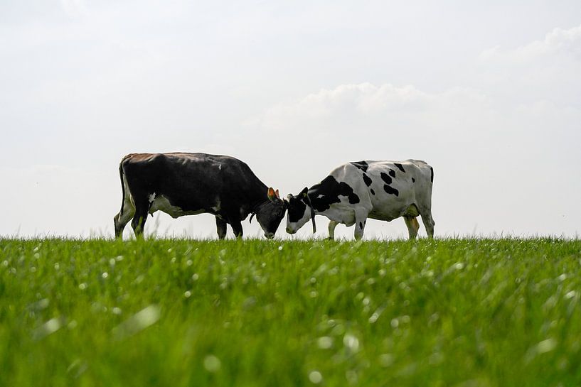 Wer ist der Boss? von As Janson