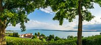 Allemagne, panorama XXL du lac de Constance paysage naturel