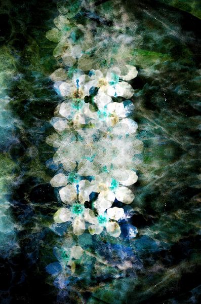 Fleur rétro par Anne Bachmann