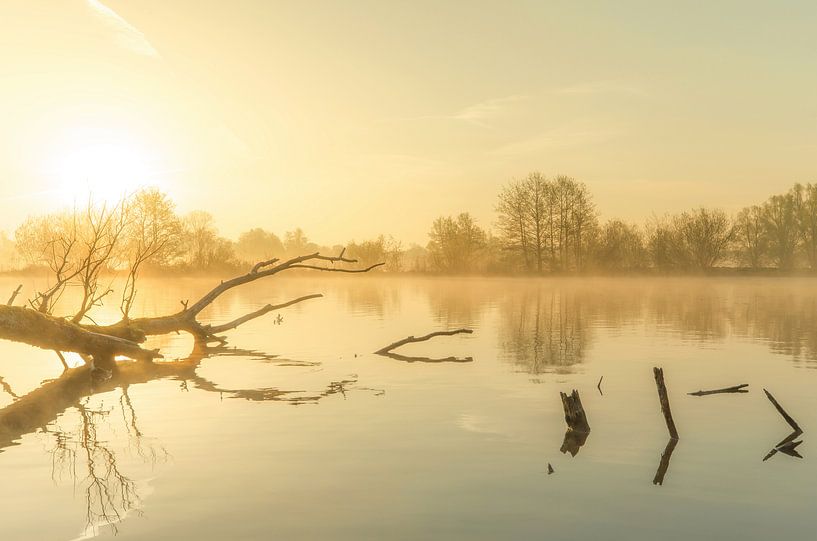 Landschap, opkomende zon tijdens mistige ochtend met boom in het water by Marcel Kerdijk
