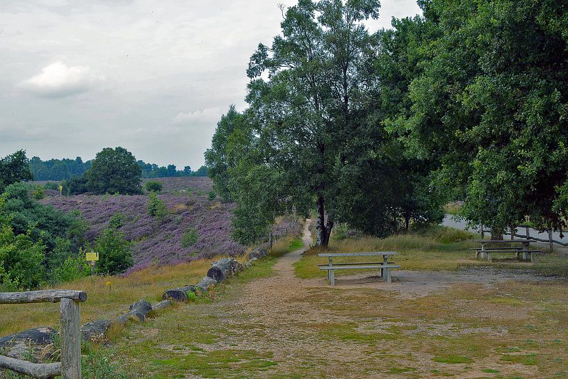 Waar de weg naar toe leidt by Diane Schnelle