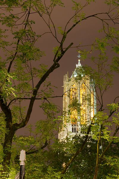 Domturm von Utrecht von Martien Janssen