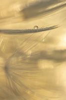 Un jeu d'équilibriste