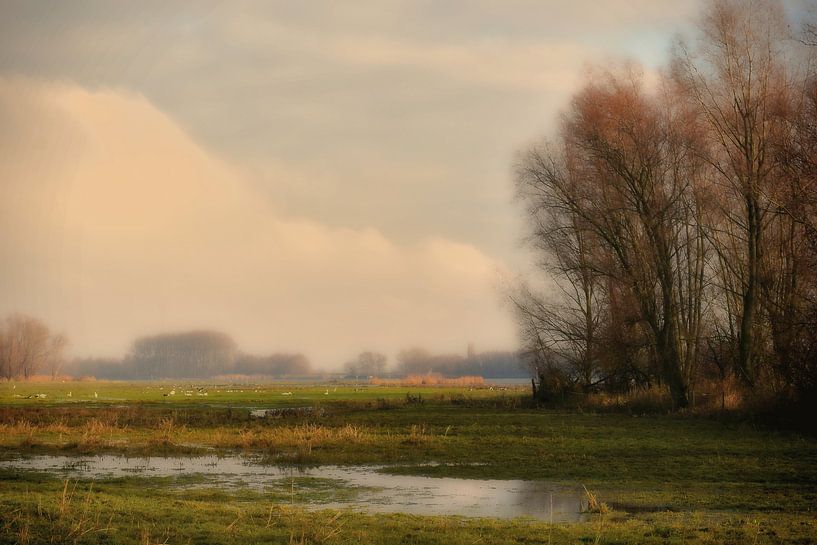 Misty von Bert Seinstra