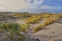 Les dunes de Terschelling