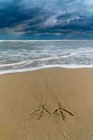 Impressum Möwenbein