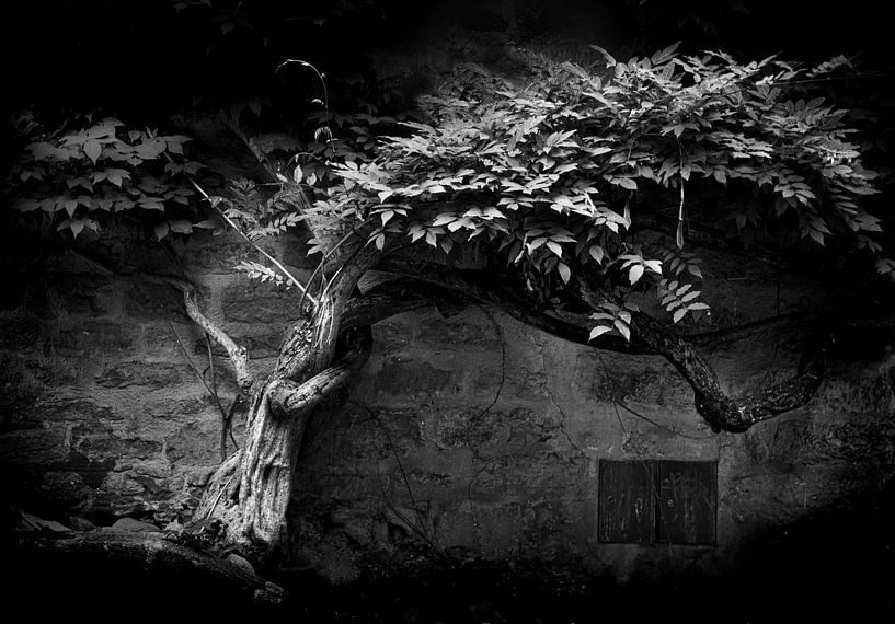 La trappe par Ton van Buuren