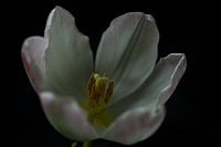 Ich bin von Dunkelheit umgeben.