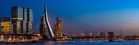 Panorama | Blue Hour Erasmusbrug