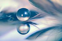 Reflexion | Tropfen und Federn.