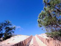 Un sentier en montée pittoresque et enchanteur