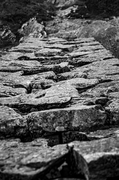 Steinteppich von Twan van Vugt