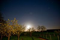 Sterne über dem Obstgarten