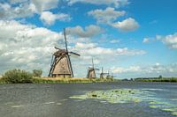 Kinderdijk