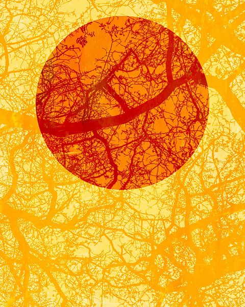 Lever de soleil en Afrique par Mad Dog Art