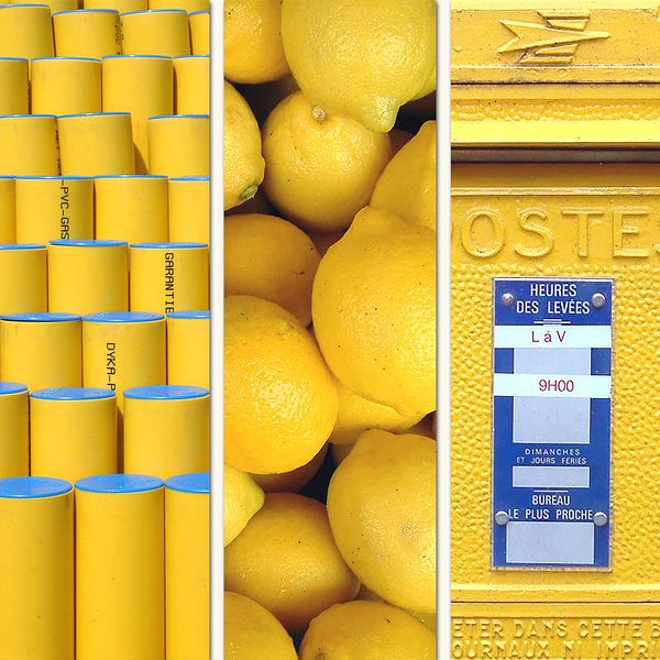 Color Yellow by Irene Polak