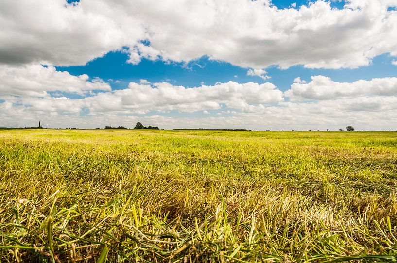 Gemaaid gras von Richard Janssen