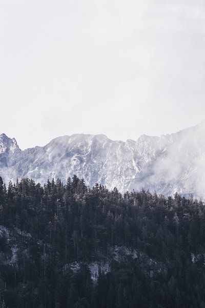 one morning in the Austrian mountains by Holly Klein Oonk