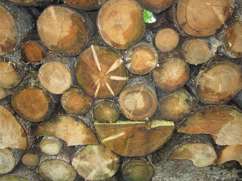 Gravure sur bois par Georg Link