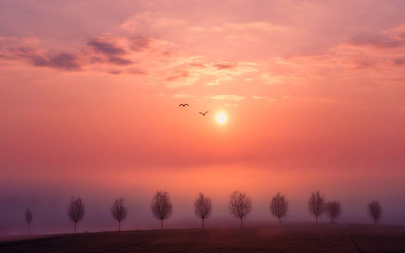 Sunrise in the fog by Rob Sprenger