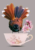 Fantail auf einer Tasse