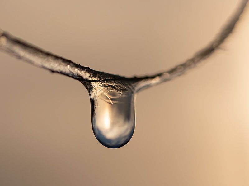 gefrorener Tropfen von Femke Straten