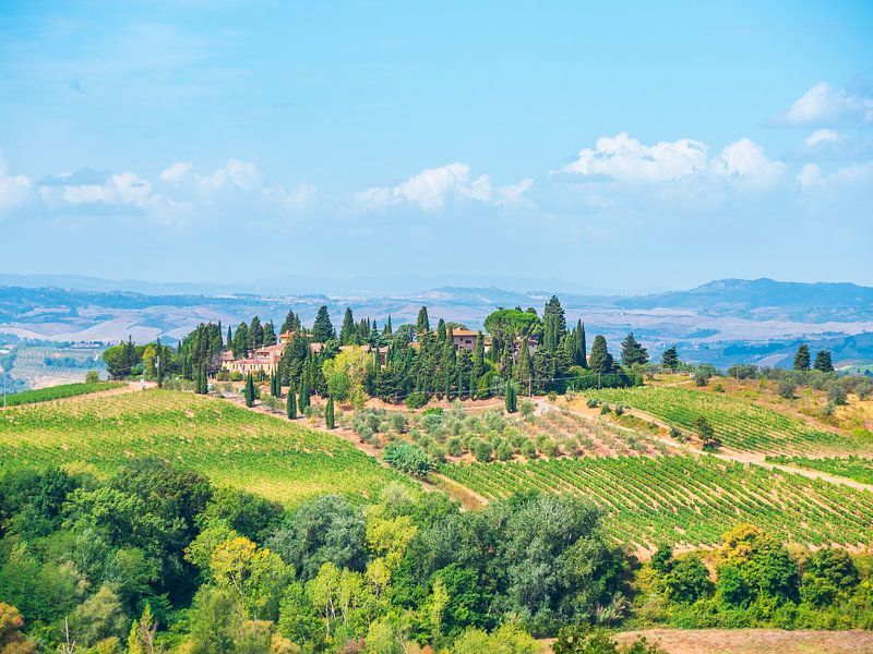 Paysage toscan par Mustafa Kurnaz