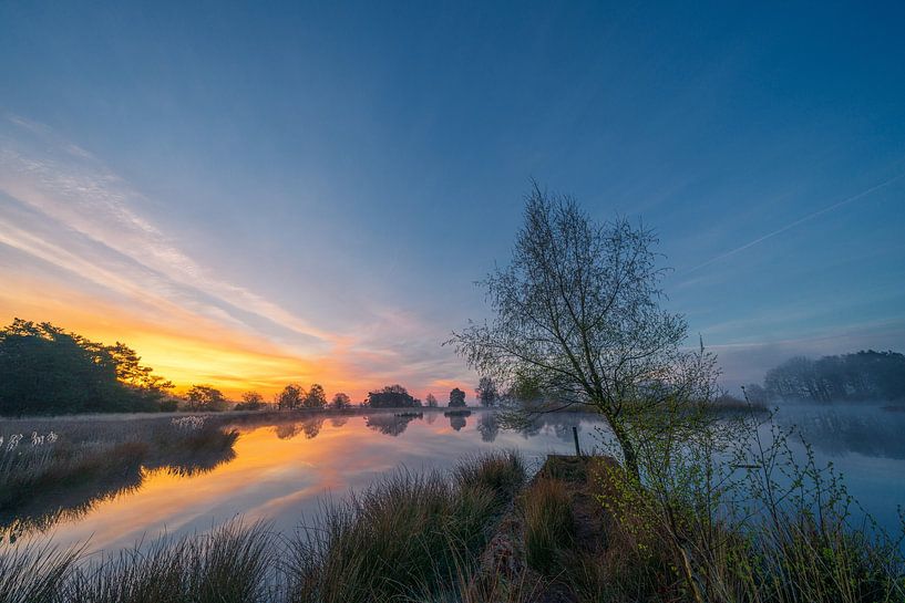 Die Sonne kündigt sich über einen See auf dem Dwingelderveld an von Coen Weesjes