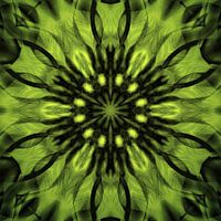 Grün leuchtendes Mandala