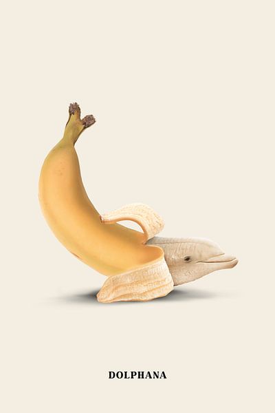 Dolphana von Jonas Loose