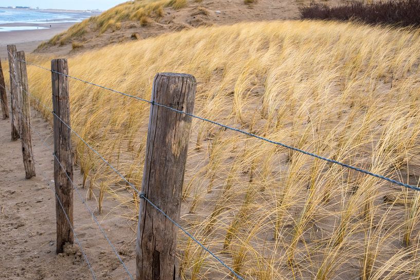  Blonde Dünen von Annelies Martinot