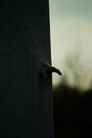 Stille getuige van groot verdriet