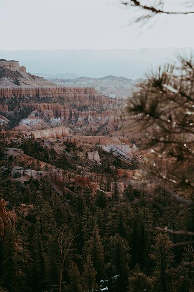 Bryce Canyon durch die Bäume von Elise van Gils