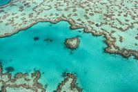 Cœur de récif en Australie