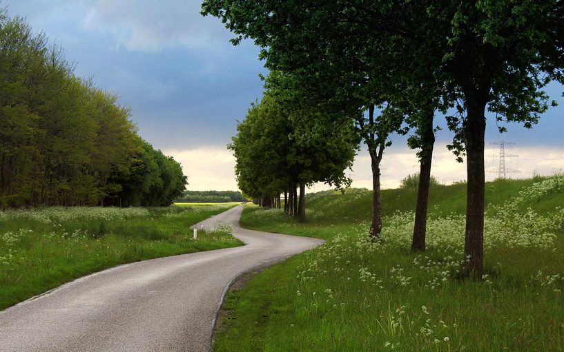 Grün von Wim Popken