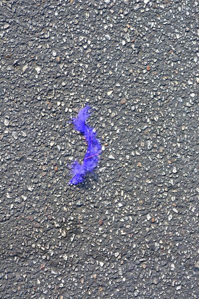 Carnaval is over by Ron Steens