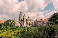 Le printemps est magnifique à Cracovie