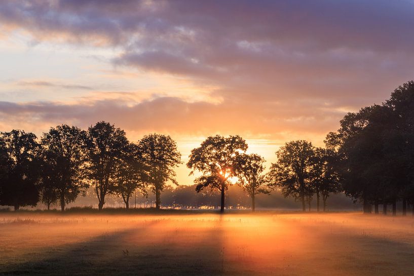 Lever de soleil dans un champ près de la Roffelaarskade Woudenberg - Grebbelinie - Gelderse Vallei par Sjaak den Breeje