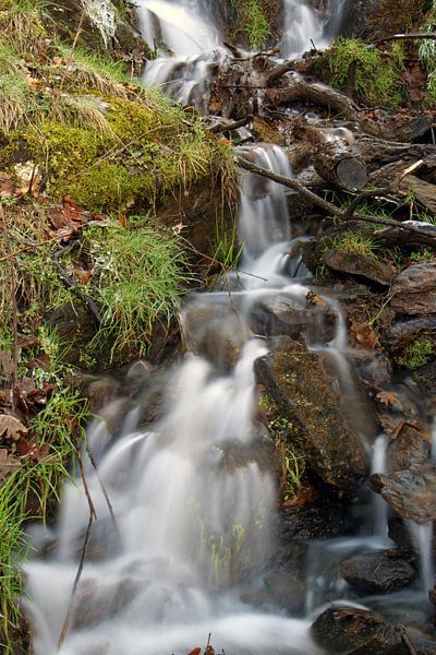 Lentement vers le bas par Cornelis (Cees) Cornelissen