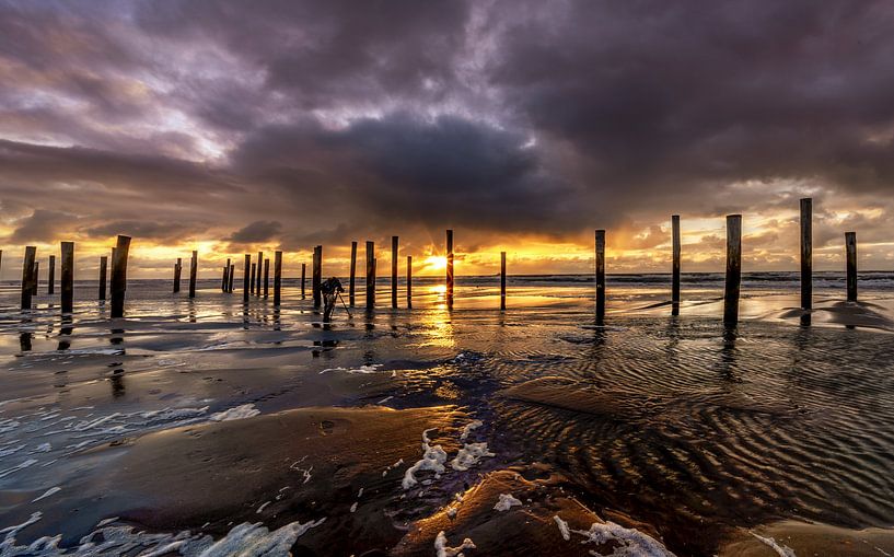 Palendorp Petten Nordholland von Mario Calma
