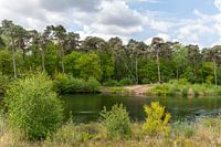 Die van Esschenven in Oisterwijk.