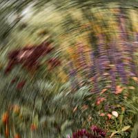 Malerei das Licht der lila Blumen Nummer 2