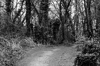 bospad mijnlandroute