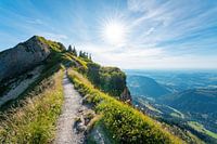Hiking trail to the Hochgrat with a view of Oberstaufen