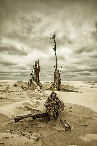 Débris de plage par Nanouk el Gamal - Wijchers (Photonook)